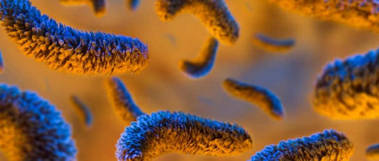 Ending TB epidemic is underway, Cnpair aiding to win the campaign