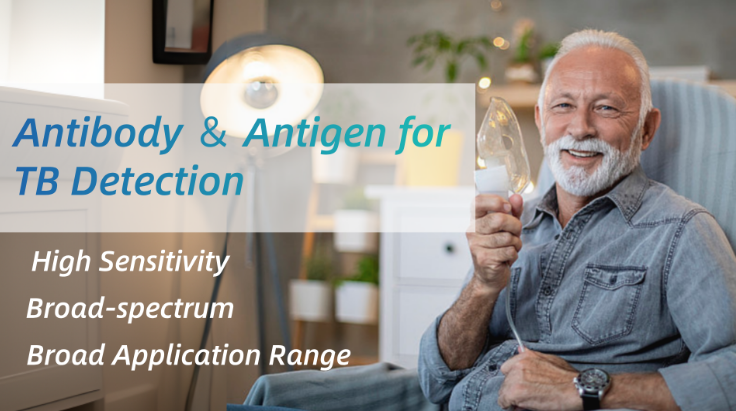 Antibody-Antigen-for-TB-Detection