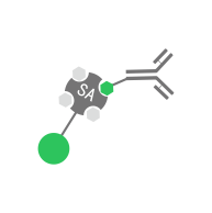 Chemiluminescence Immunoassay cnpair