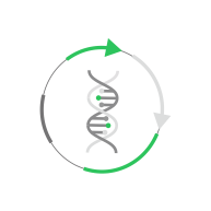 Recombinant Protein Development