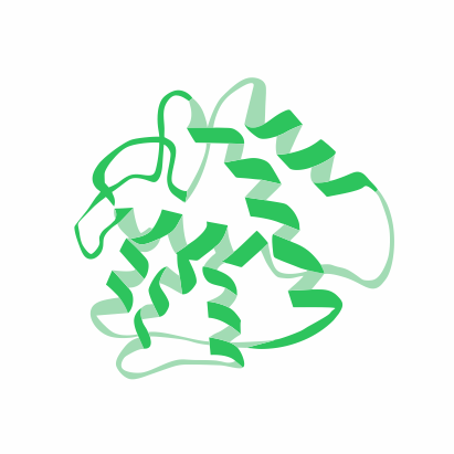 protein structure protein