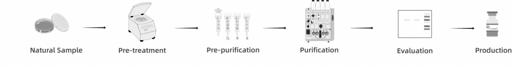 Natural Protein Development