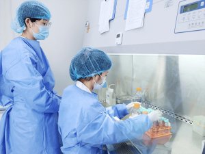Experimenter working at a clean bench