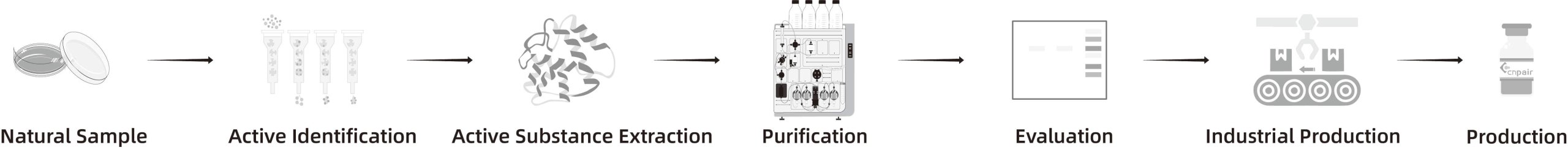 cnpair Natural Protein Development