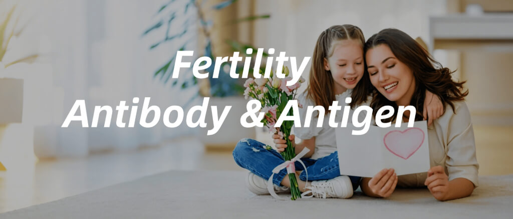 fertility-Antibody-antigen
