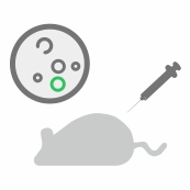 animal rearing