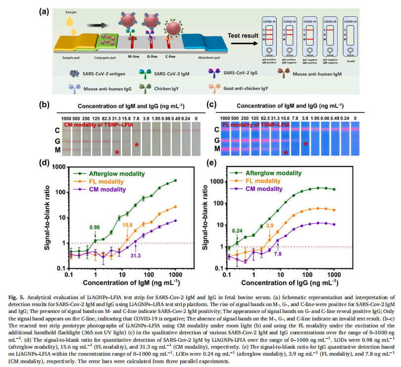 Sandwich-type LFIA test strips of HIV p24 antigen and SARS-CoV-2(2)