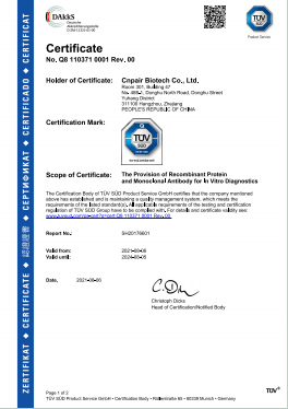 Cnpair iso 13485 Cnpair iso 13485