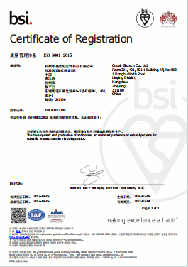 Cnpair iso 9001 Cnpair iso 9001
