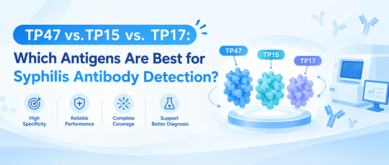 TP47 vs TP15 vs TP17 which is best for TP