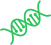 dna cnpair